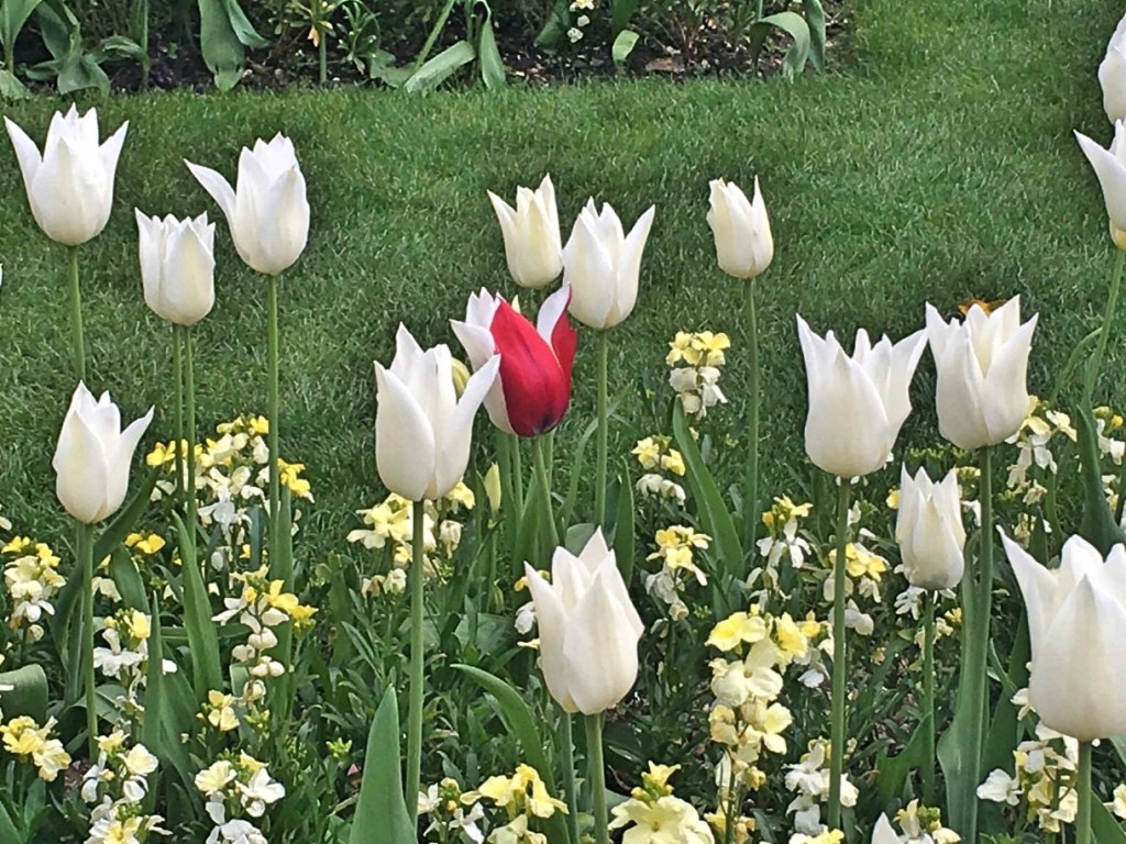 Замък - градини лалета