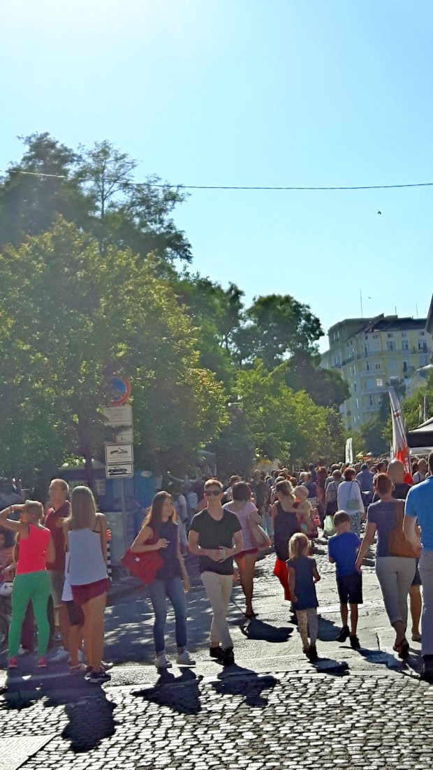 София-диша-2