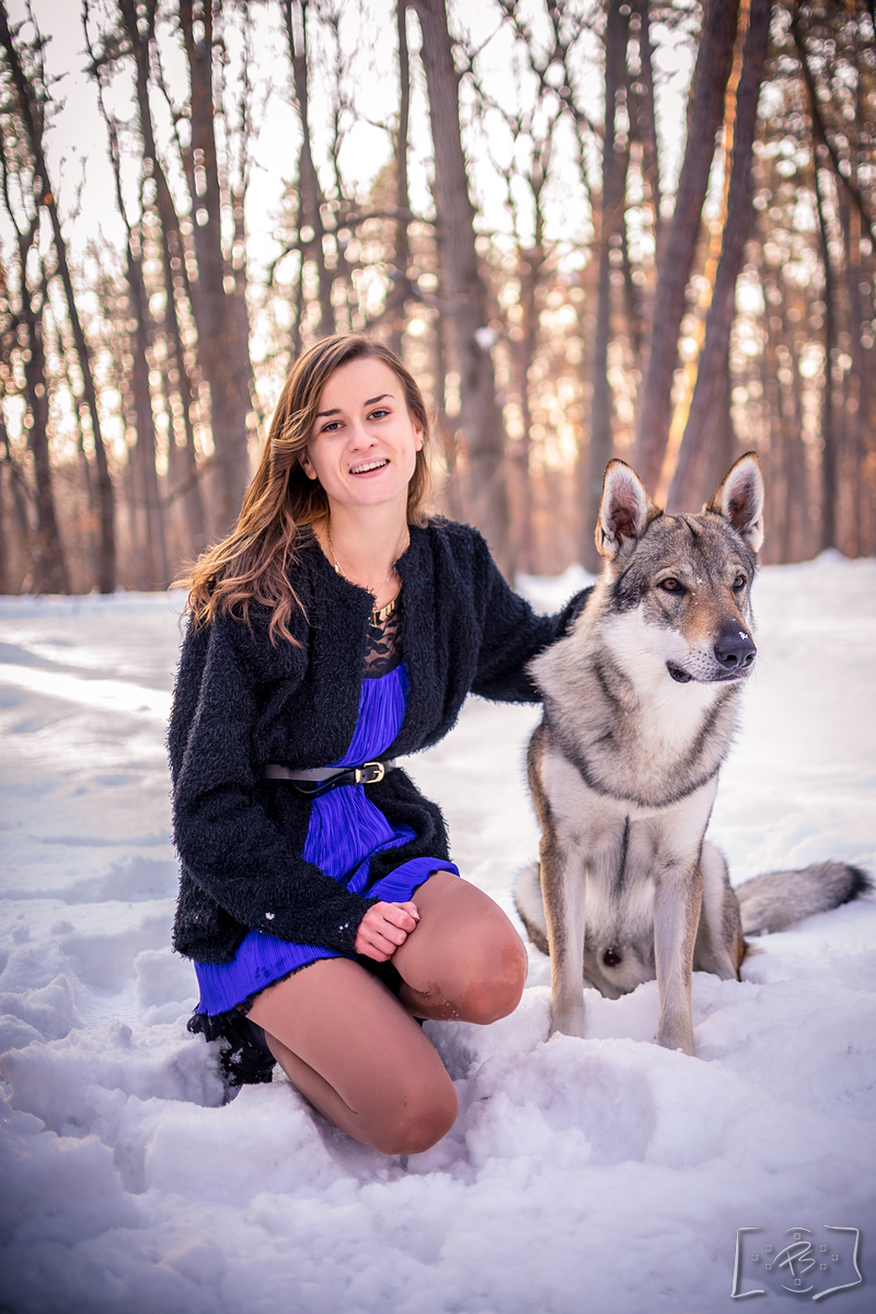 порода чехословашки вълчак 