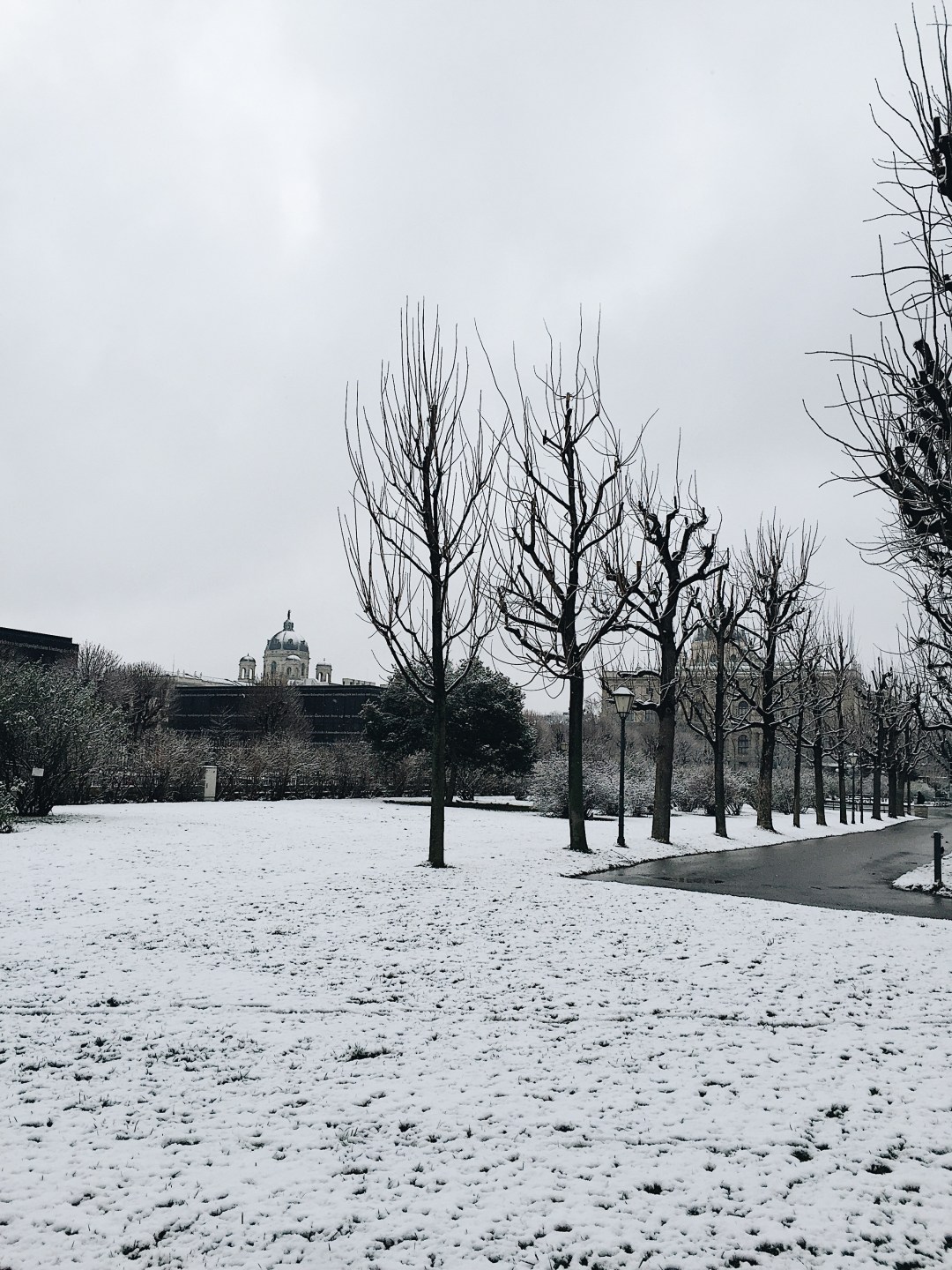 Volksgarten park Vienna Austria