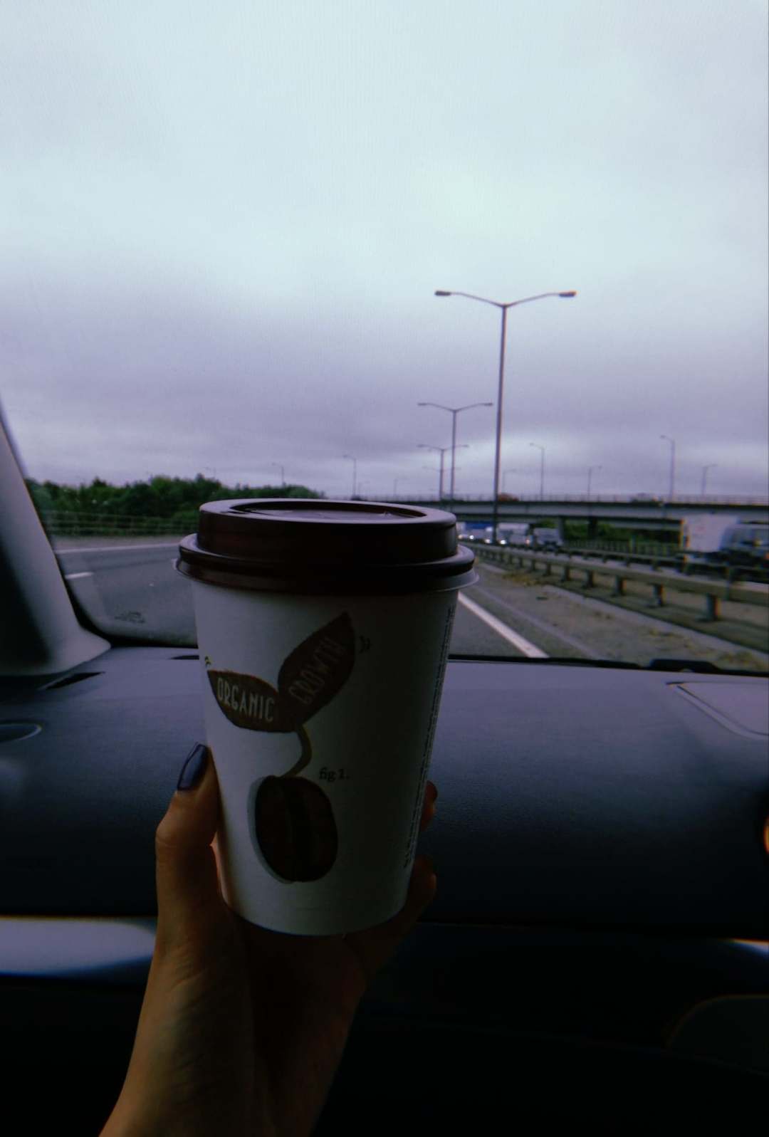 36632937_2040939369273153_8214238078743609344_n