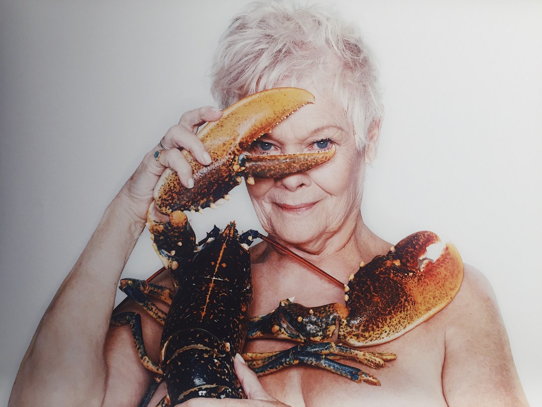 FishLove actress Judy Dench with European Lobster