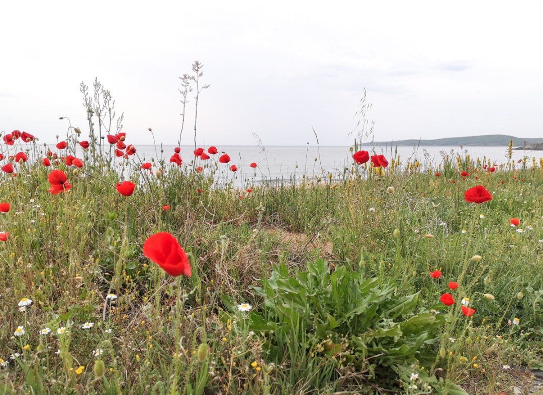 Top 3 beaches in Bulgaria Black Sea