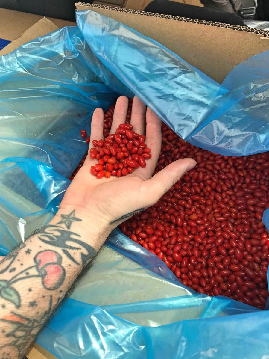 Най-добрите български крафт бири България - Рори Милър и Ах!