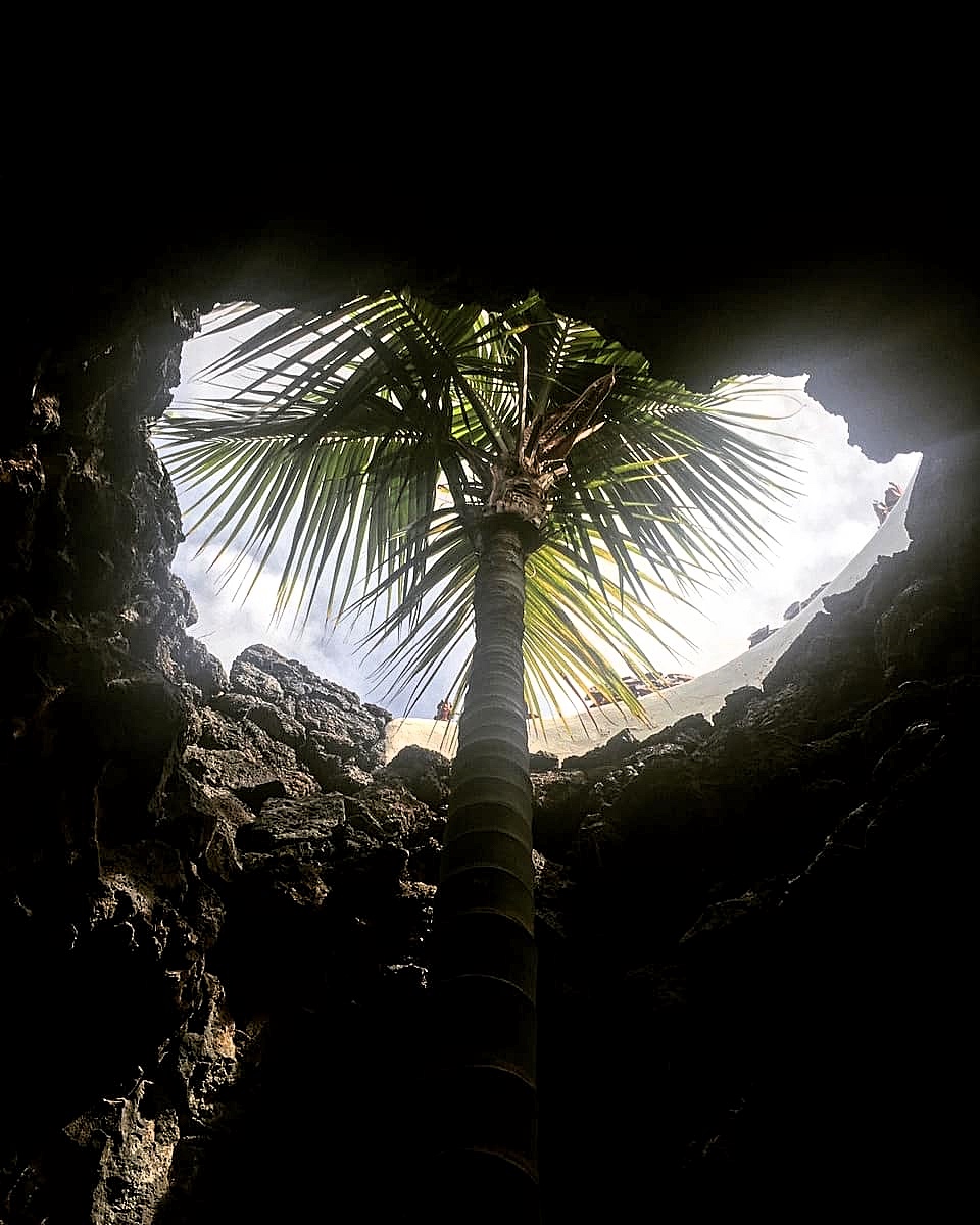 Calle Jorge Luis Borges, 16, 35507 Tahiche, Las Palmas, Spain