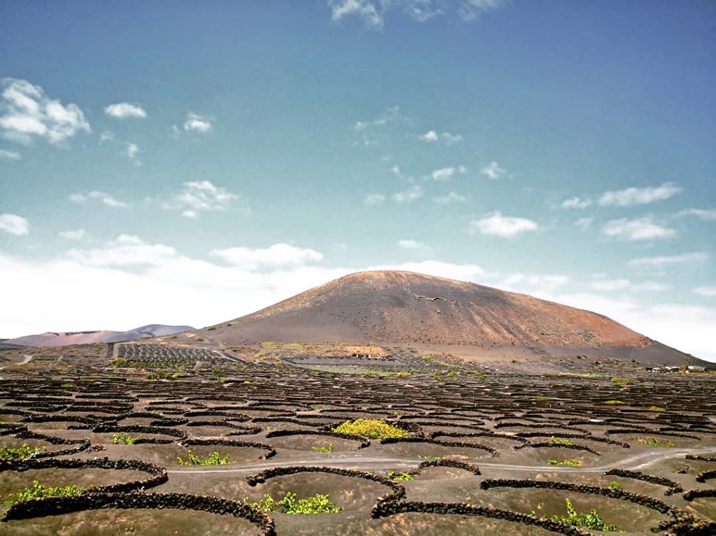 Best bodegas in Lanzarote