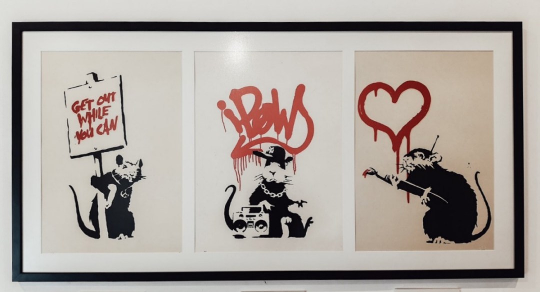The rats of Banksy