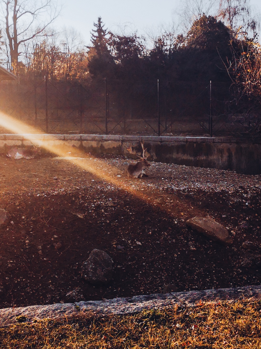 Зоологическа градина София