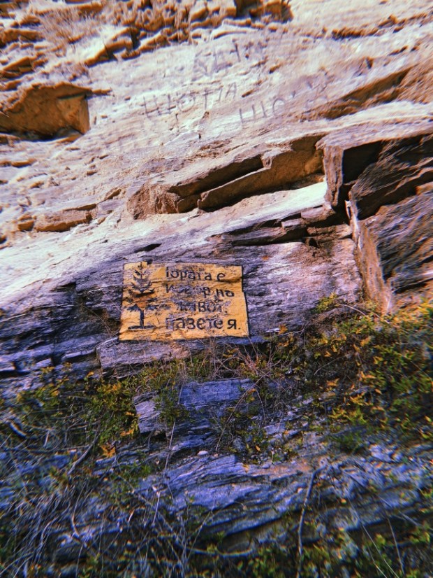 Гората е извор на живот