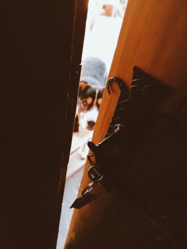 Дървената еко къща в Лещен