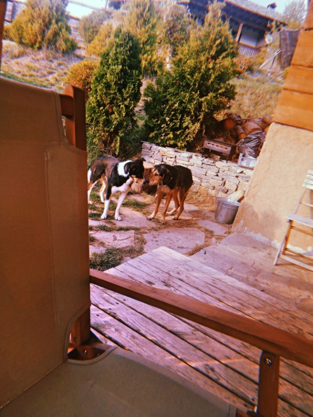 Дървена еко къща Лещен