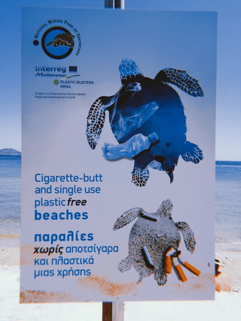 костенурки caretta caretta