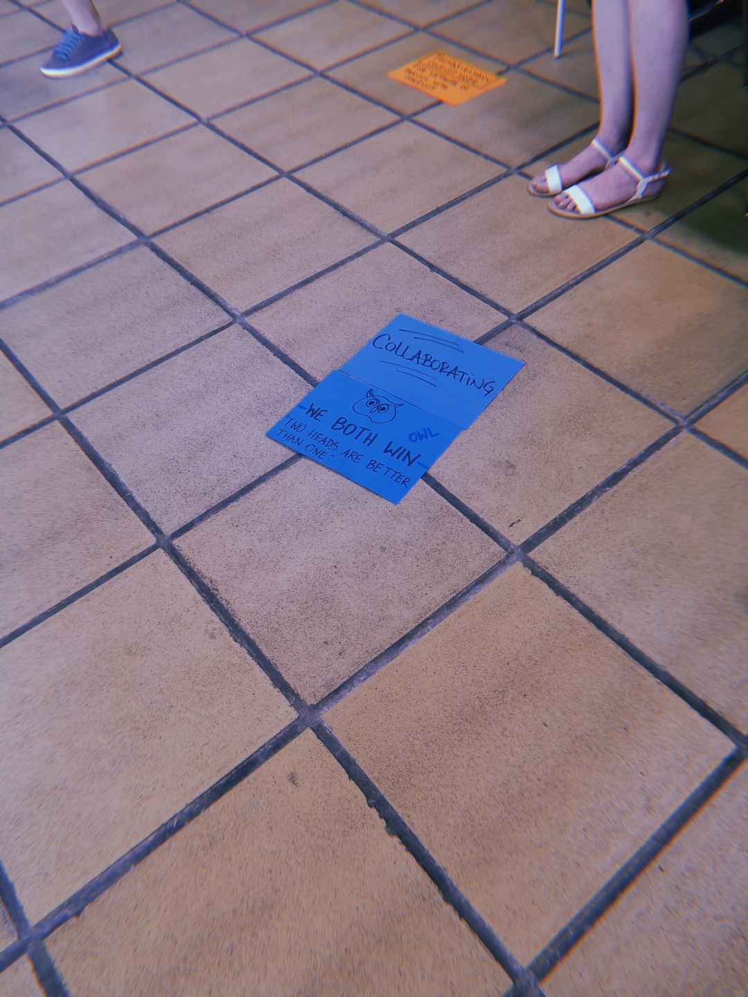 Thomas-Kilmann Conflict Mode instrument animals owl