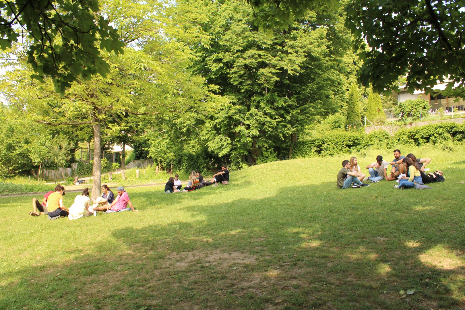 SCI Peace with others training course